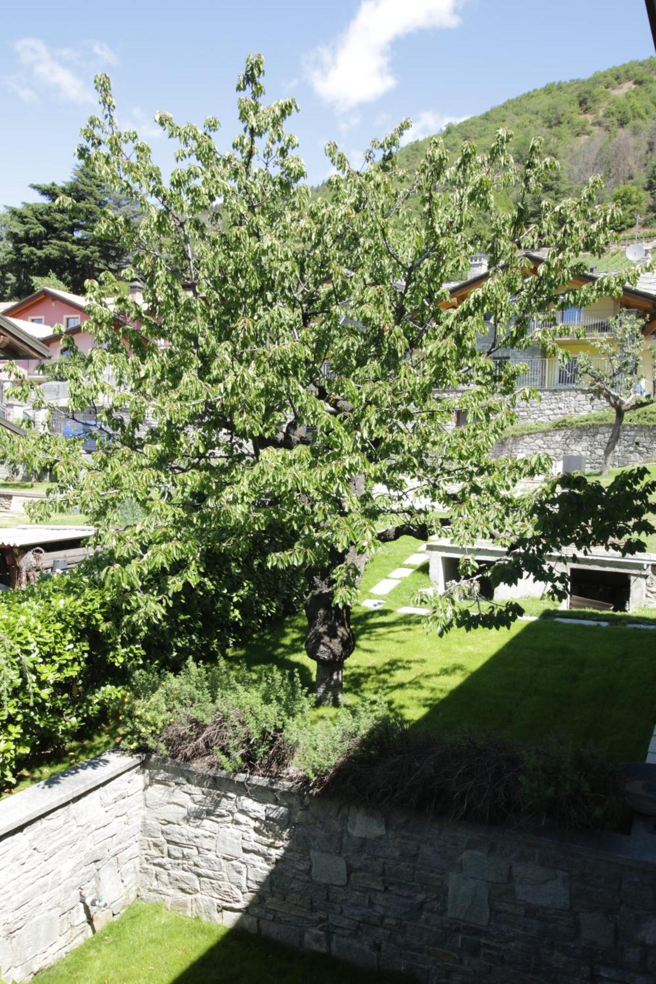 Style Apartments Vda Senin Exterior foto